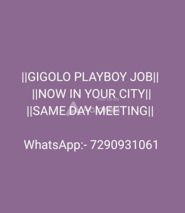 Hyderabad based playboy job opportunities for students and workers