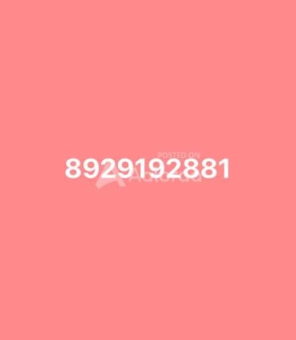 MALE ESCORT CLUB OPEN VACANCY IN YOUR CITY GOOD INCOME SAME DAY MEETING DONT MISS THIS GOLDEN OPPORTUNITY JOIN IMMEDIATELY WELCOME