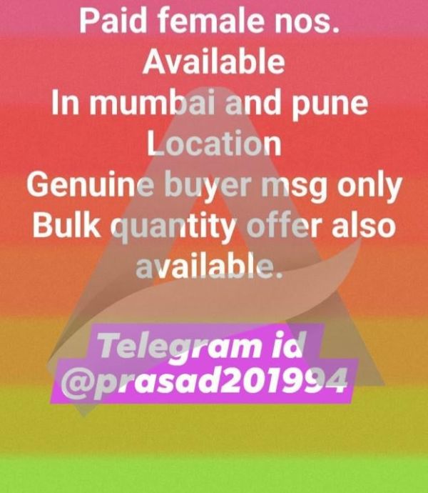 Independent femles nos Available