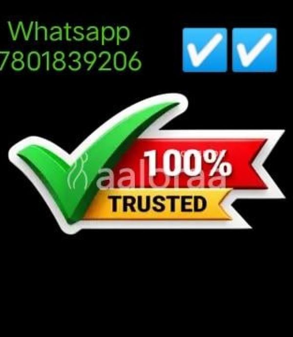 Bumper requirements for gigolo play boy male escort