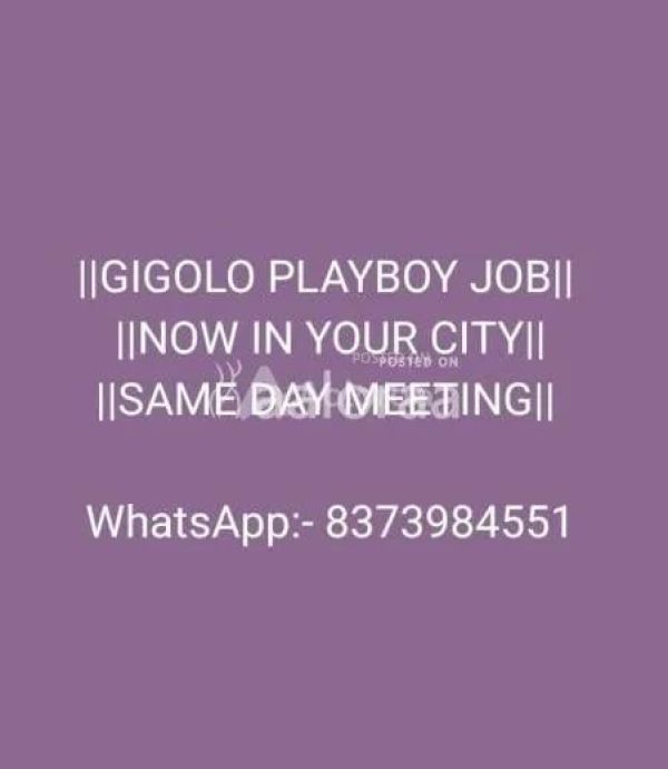 NEW MALE ESCORTS JOBS AVAILABLE IN YOUR CITY GOOD INCOME SAME DAY MEETING GIGOLO CLUB NEED FRESHERS OUR EXPERIENCE PLAYBOY  INTERESTED PEOPLE JOIN US