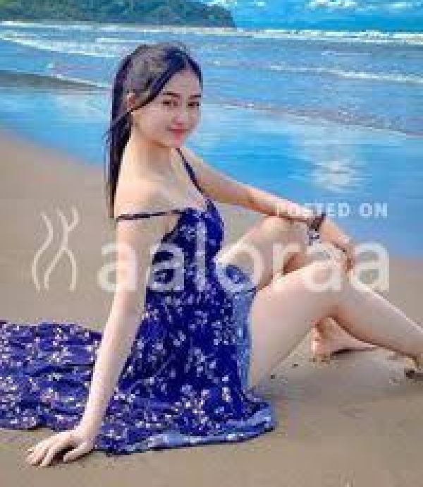 Call Girls In Sector 29 Noida Escorts Call 96676O6617 Sexy Girl