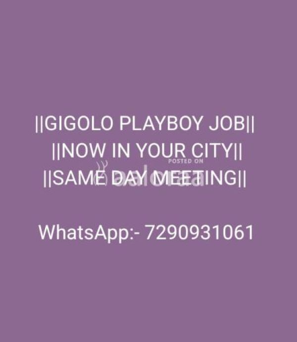 Looking for Playboy job in your city jaipur rajasthan