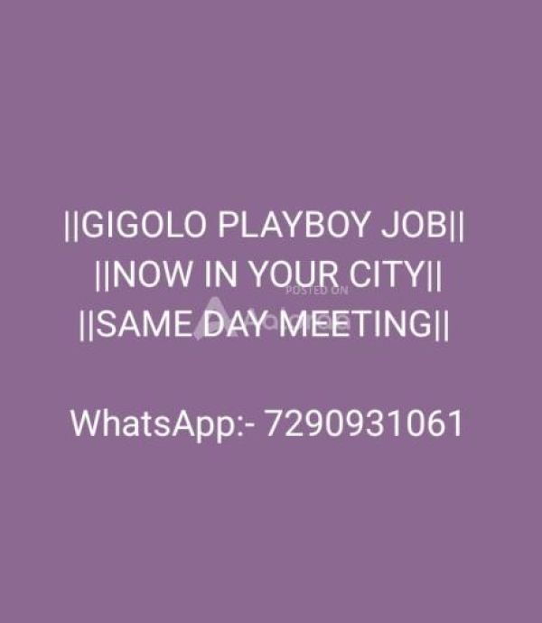 Looking For Playboy Job In Your City With Part-Time And Full Time
